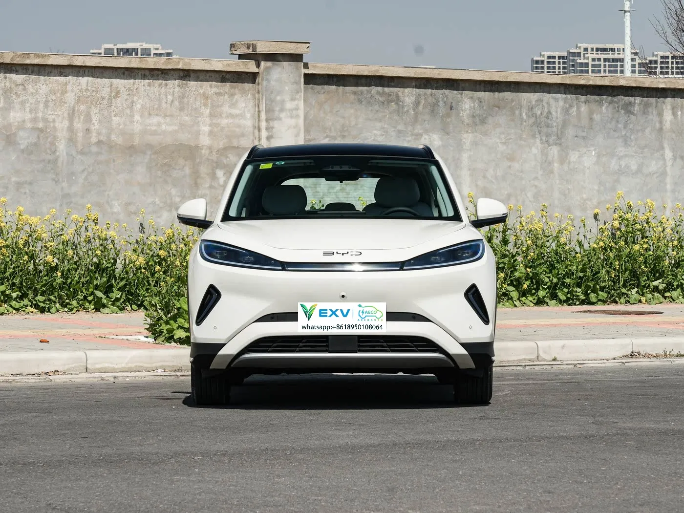 Singa Byd Sea 05 EV disetel kanggo diluncurake tanggal 25 Maret, sing nampilake Tian Shen Zhi Yan C sistem nyopir cerdas tingkat dhuwur minangka standar ing kabeh model.